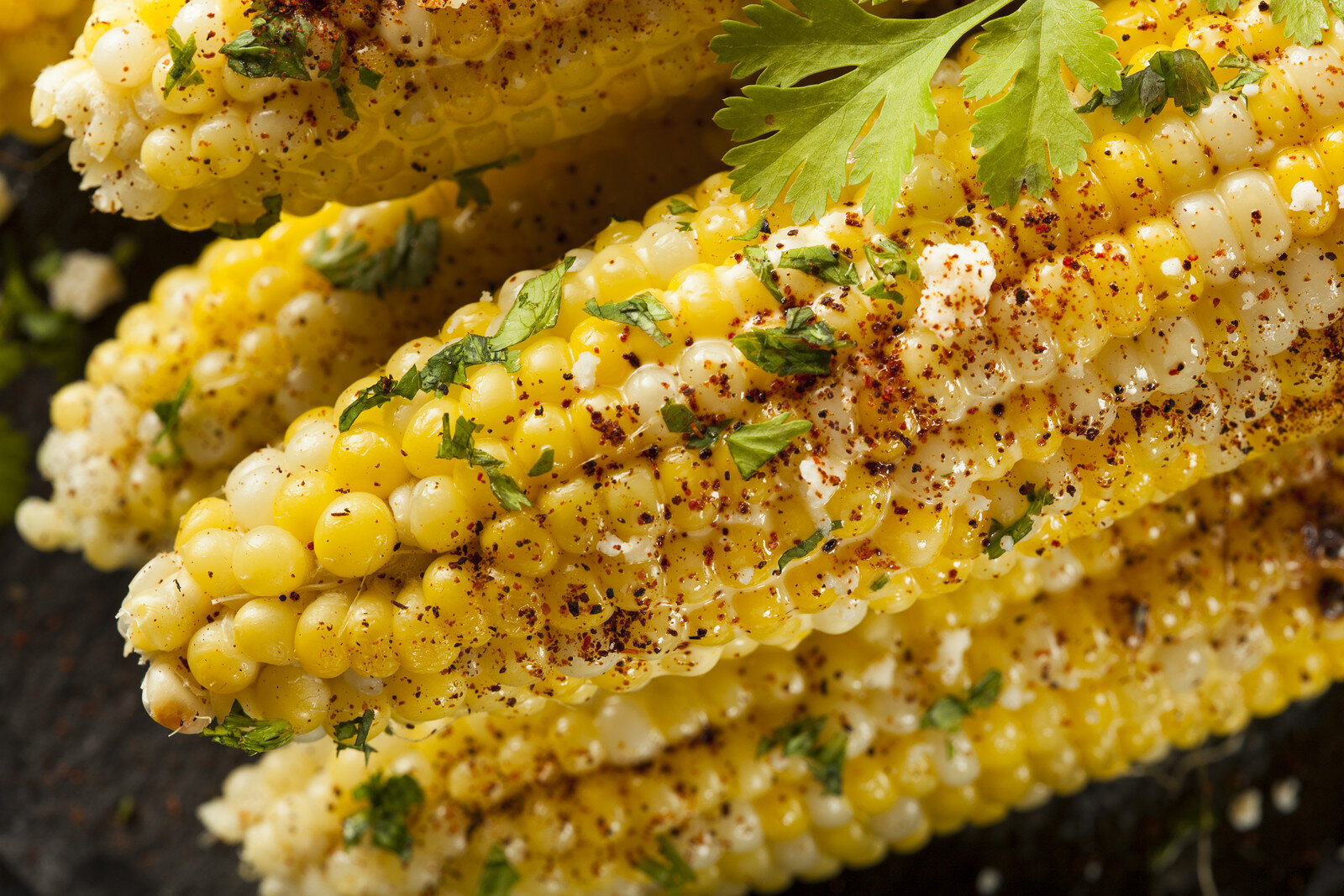 canstockphoto20567254+grilled+corn+2020.09.03 a close up of food