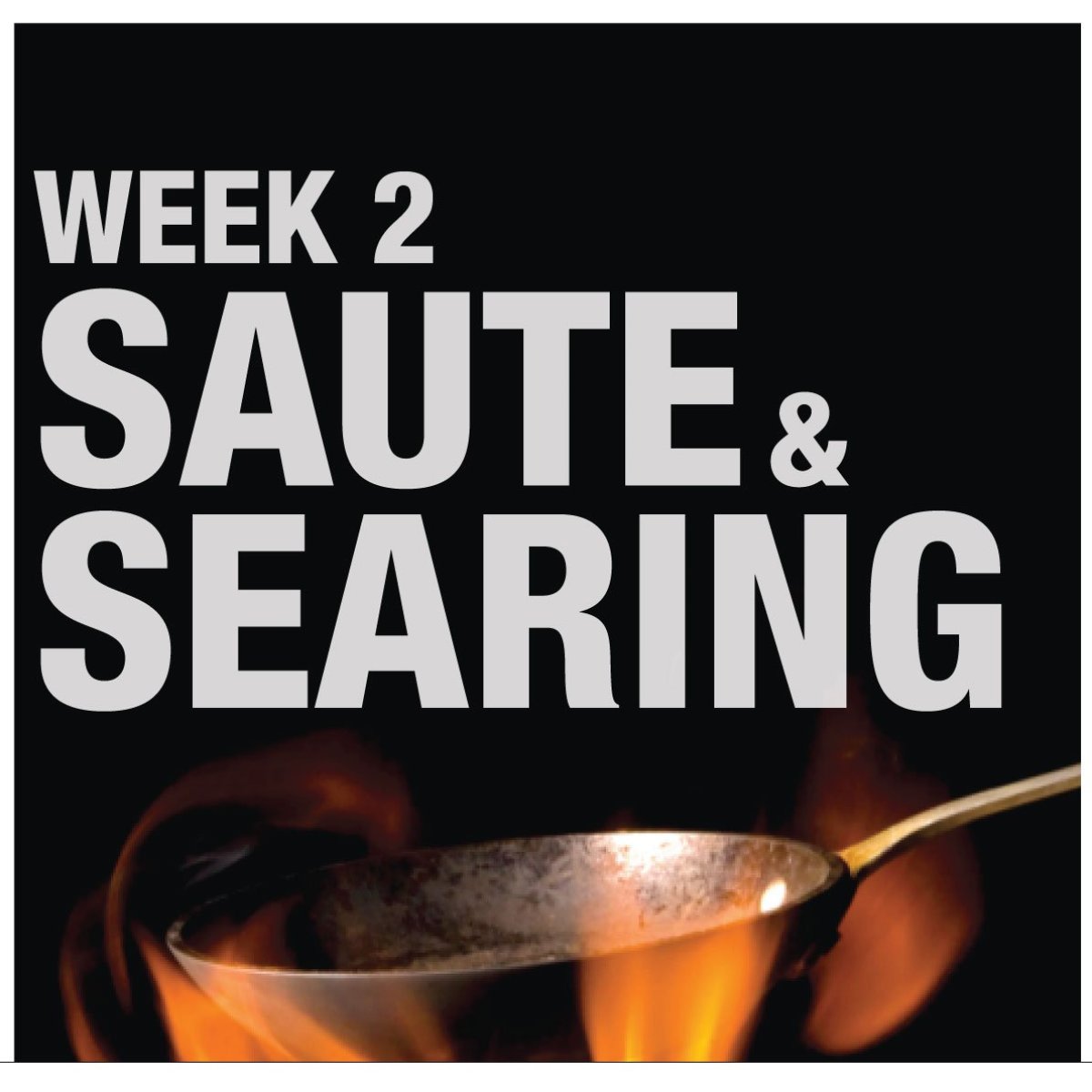 WEEK 2 SAUTE & SEARING