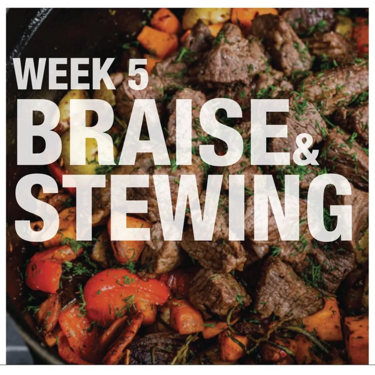 WEEK 5 BRAISE & STEWING