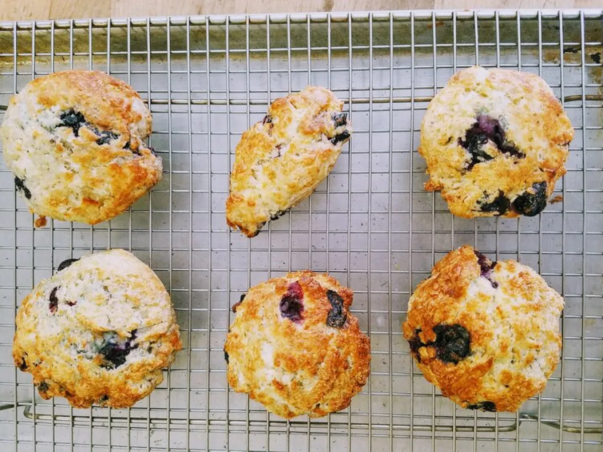 a bunch of food sitting on a wire fence